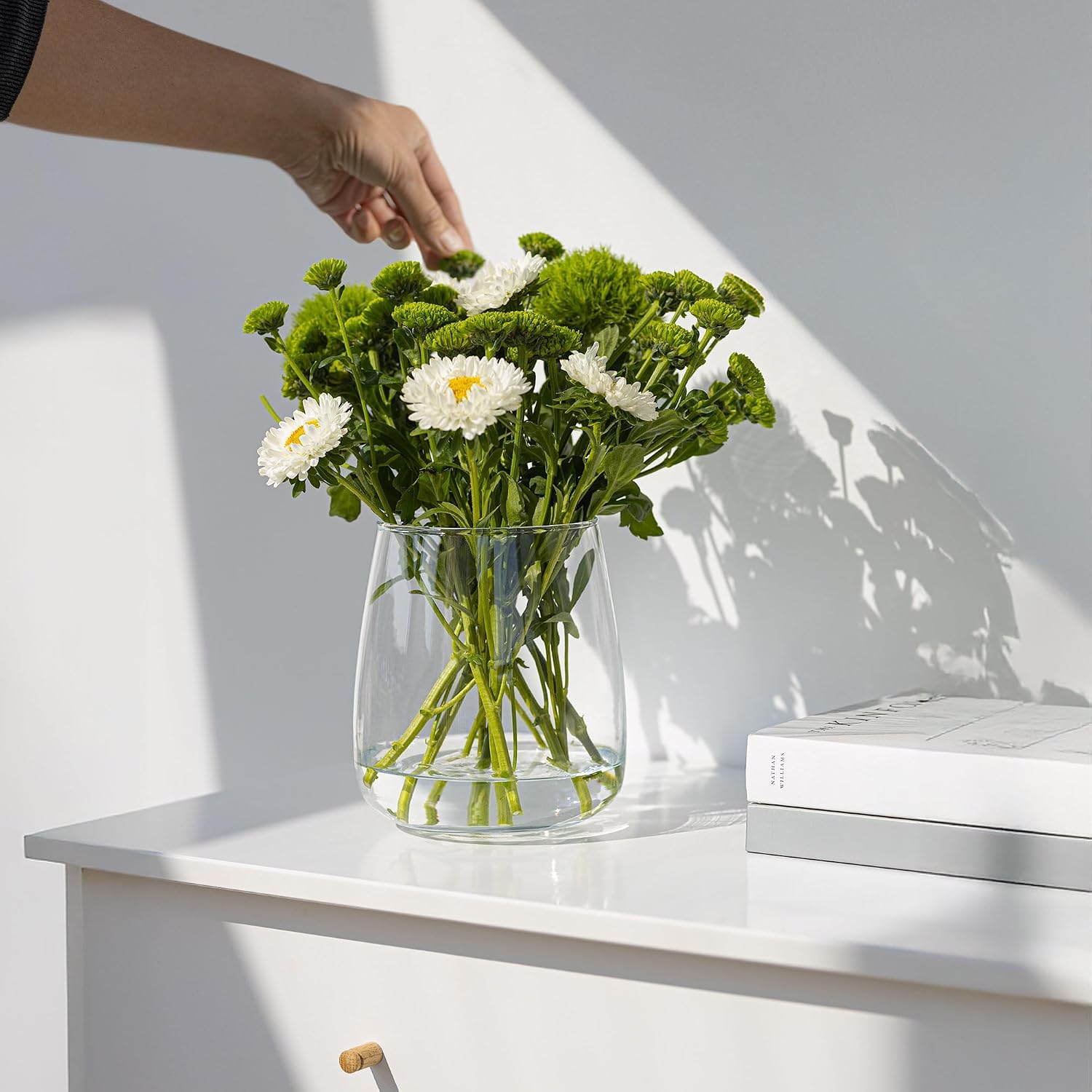 TREND FOR HOME Glasvase groß H: 22,7 cm Vase für Pampasgras Glas, Blumenvase für Pampasgras, Vasen Glas für Hochzeitstulpen Weite Öffnung, Ø 19 cm, Zinnia