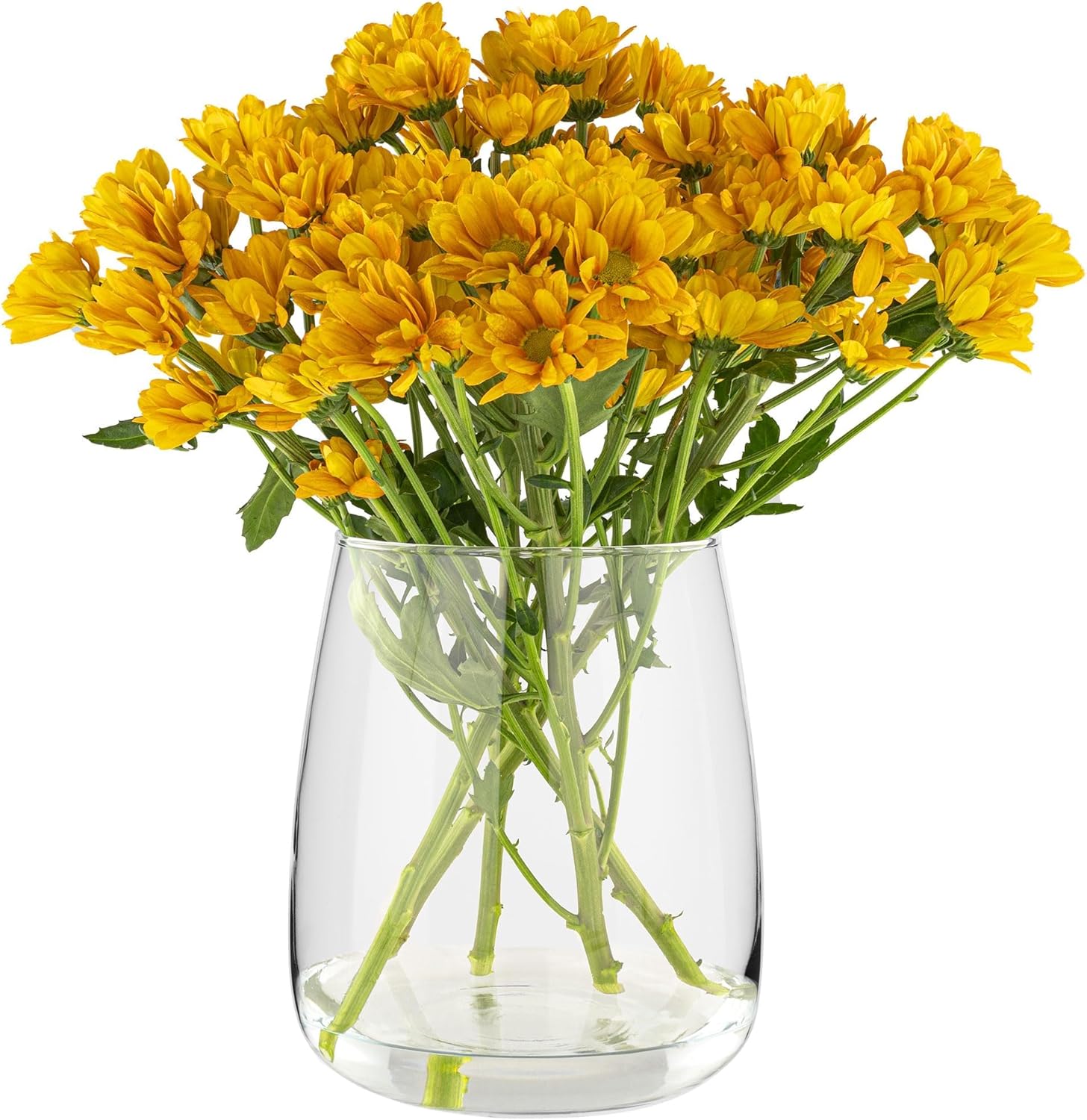 TREND FOR HOME Glasvase groß H: 22,7 cm Vase für Pampasgras Glas, Blumenvase für Pampasgras, Vasen Glas für Hochzeitstulpen Weite Öffnung, Ø 19 cm, Zinnia